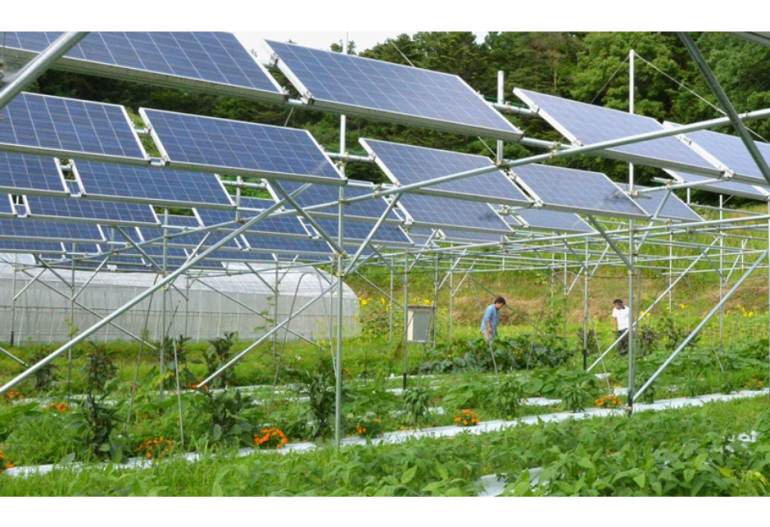 Hệ thống cao (High-Mounted System) trong mô hình Agro-Solar v1