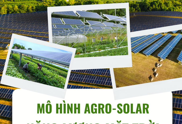 Năng lượng mặt trời trong nông nghiệp – Mô hình Agro-Solar