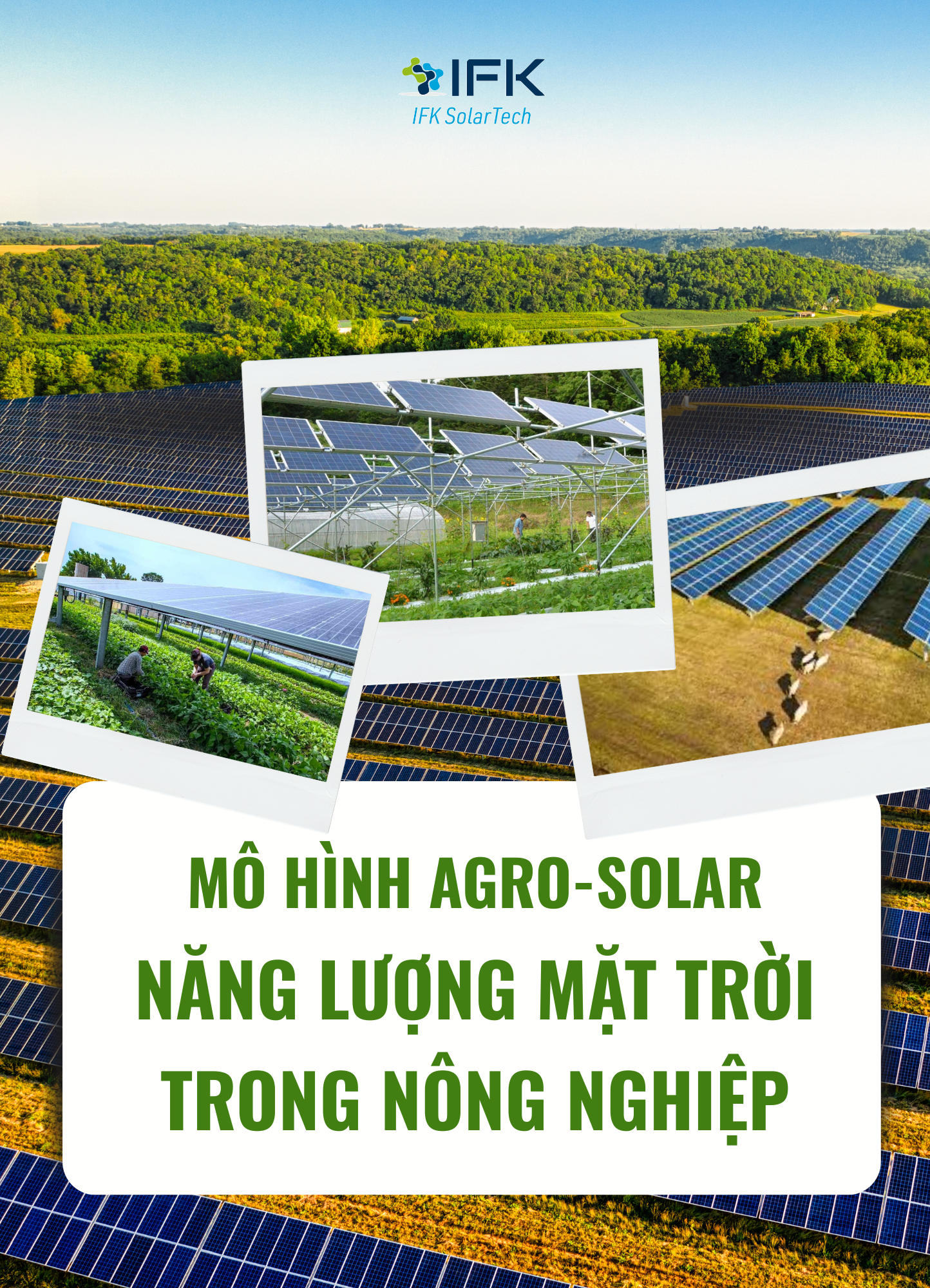 Năng lượng mặt trời trong nông nghiệp – Mô hình Agro-Solar