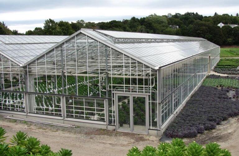 Nhà kính nông nghiệp với mái STPV bán trong suốt