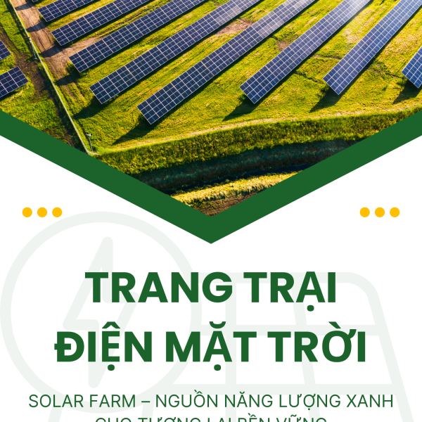TRANG TRAI DIEN MAT TROI