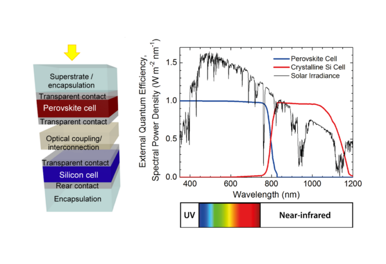 Đường hấp thụ đáp ứng phổ của Perovskite (top cell) và Silicon (bottom cell) theo bước sóng
