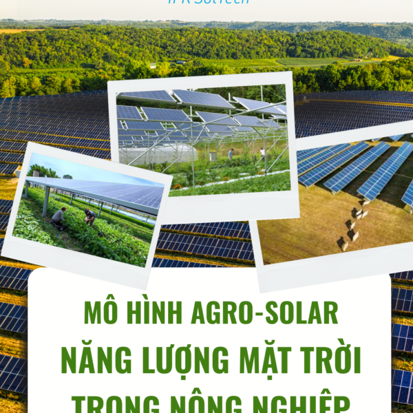 Năng lượng mặt trời trong nông nghiệp – Mô hình Agro-Solar v2