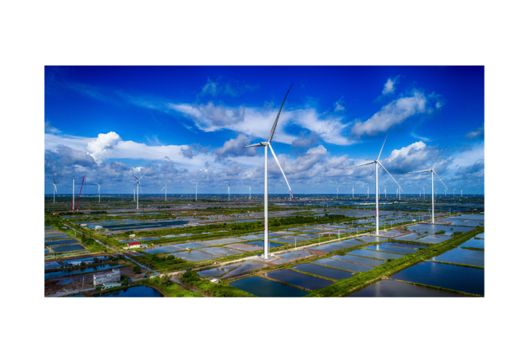 Trang trại điện gió Bạc Liêu